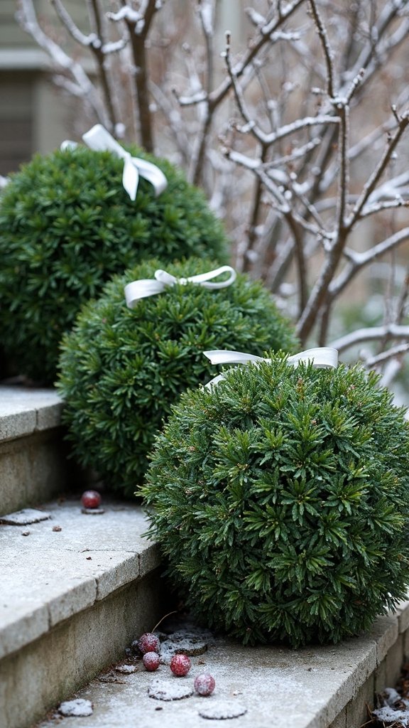 minimalist elegant boxwood holiday decor