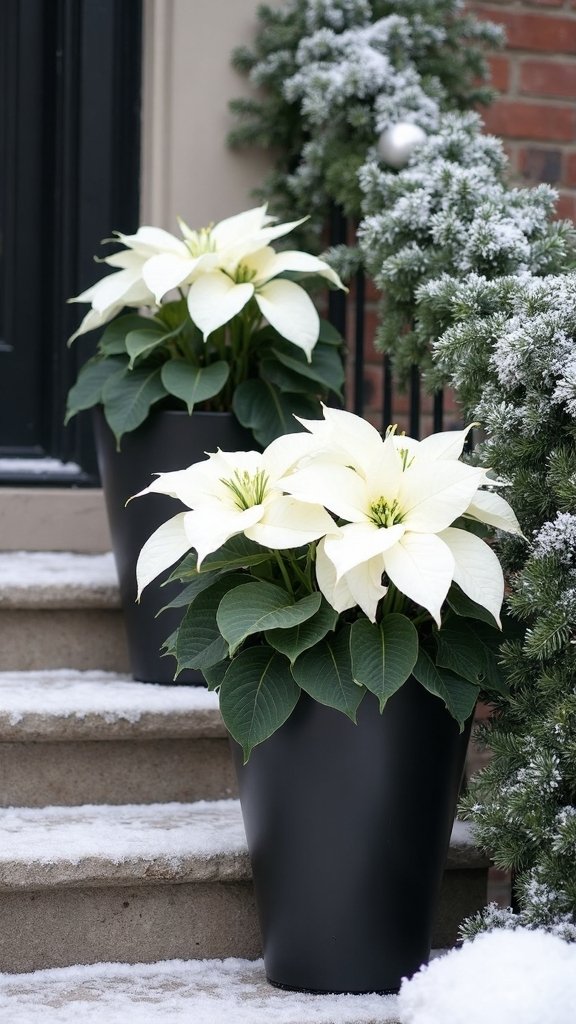striking minimalist holiday decor solution