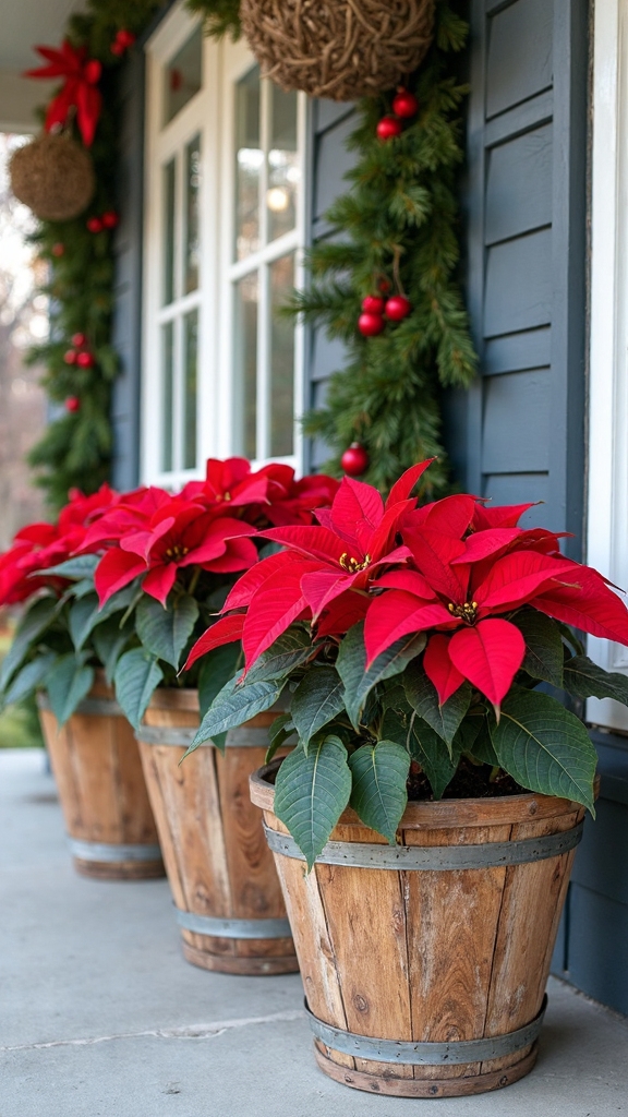 vertical poinsettia display with tiered stands